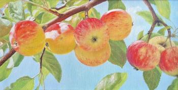 Untitled. Ostapovich Svetlana