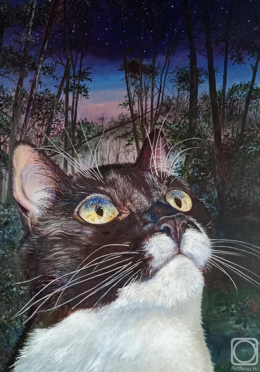 ������� ������ �� ������. ������ �����. ��������� ������ ����