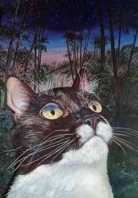 ��������� ������ ����. ������ �����