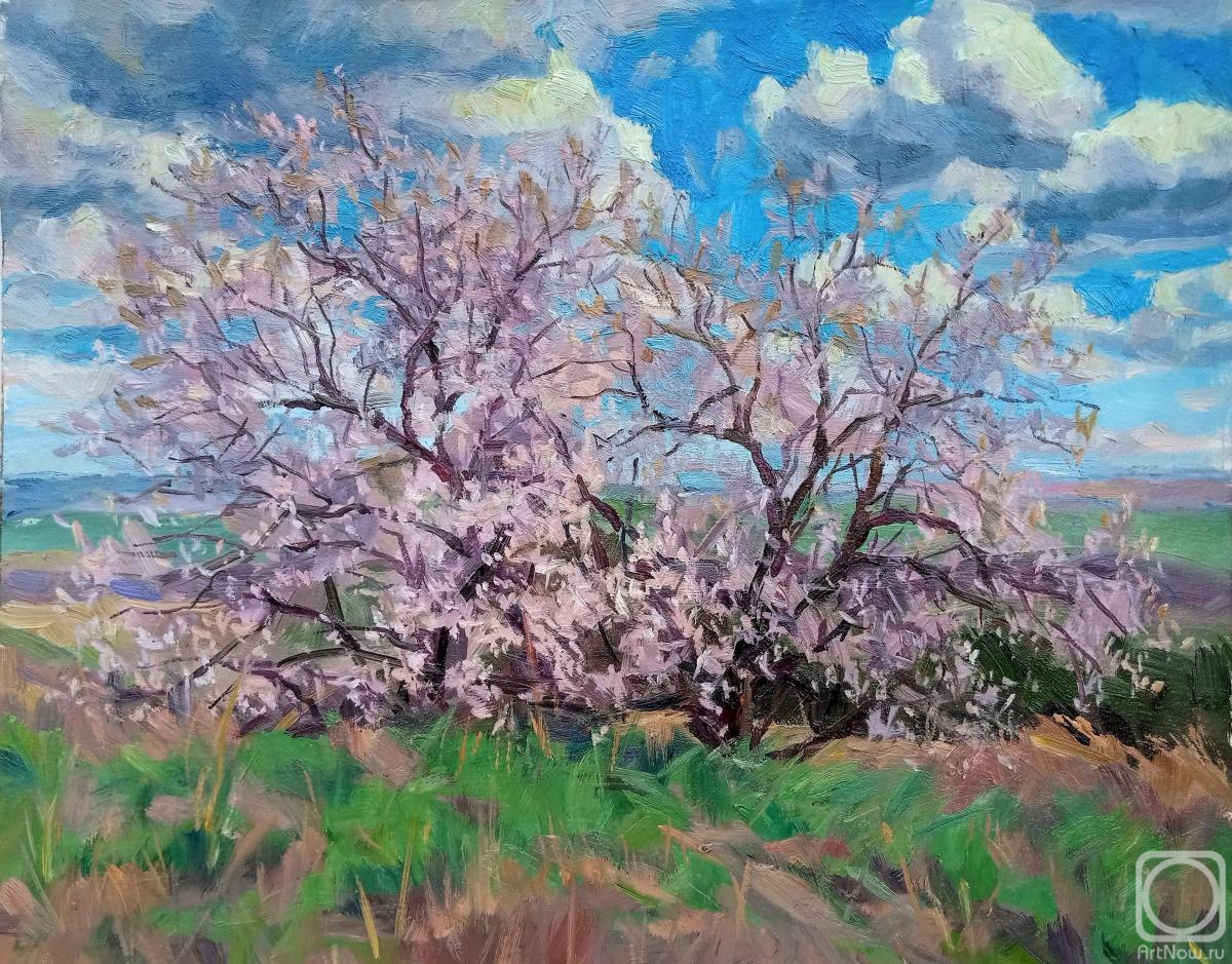 ������� ������ �� ������. ������� ��������. ������� ��������