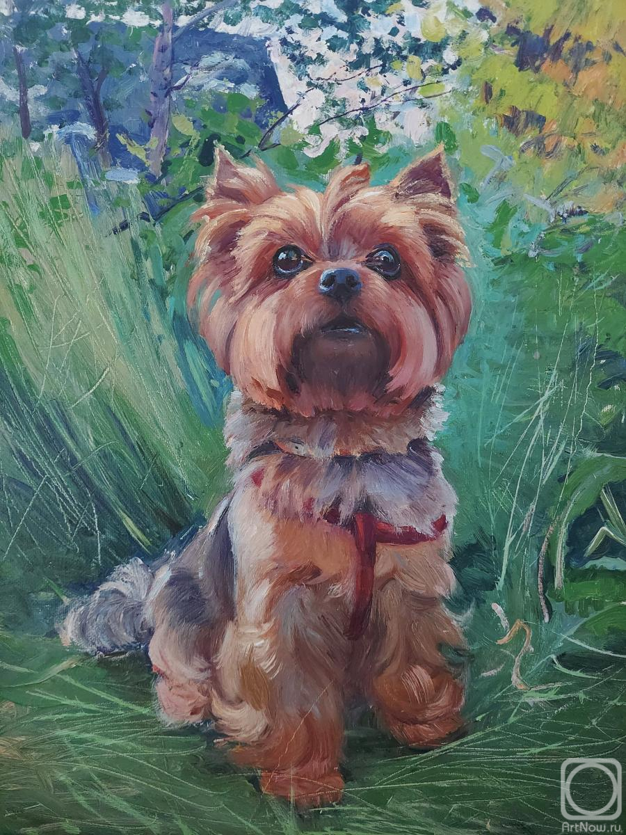 ������� ������ �� ������. ��������� ���������. ������ ����