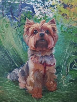 ��������� ��������� �������������. ������ ����