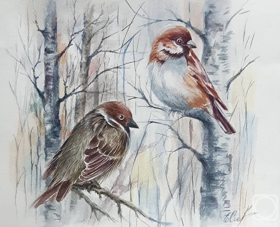 �������. ������ �����. �������