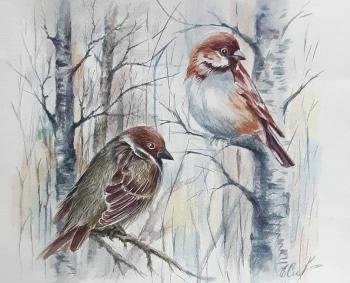 ������� ��������