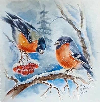 �������