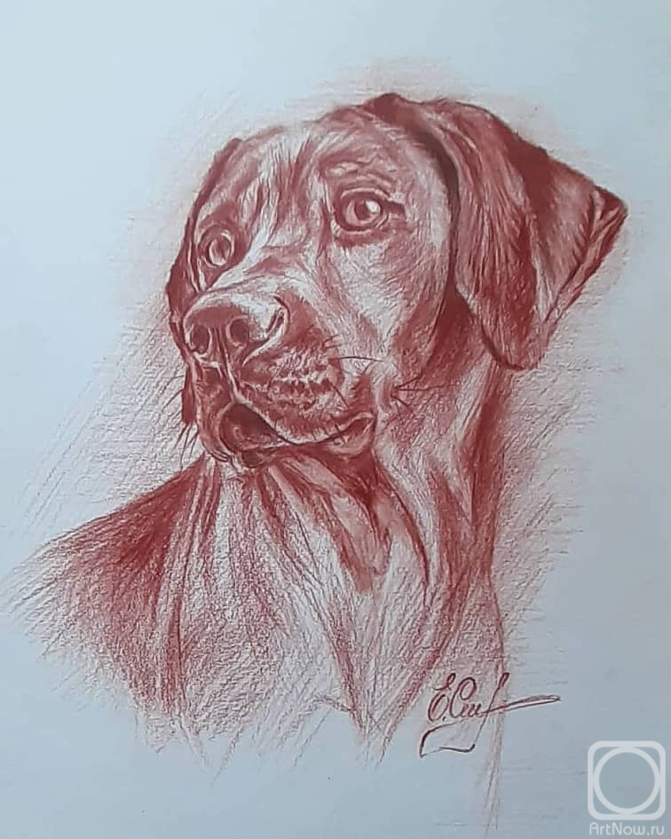 �������. ������ �����. ������� �������