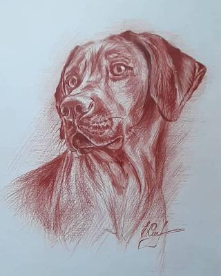 ������� �������