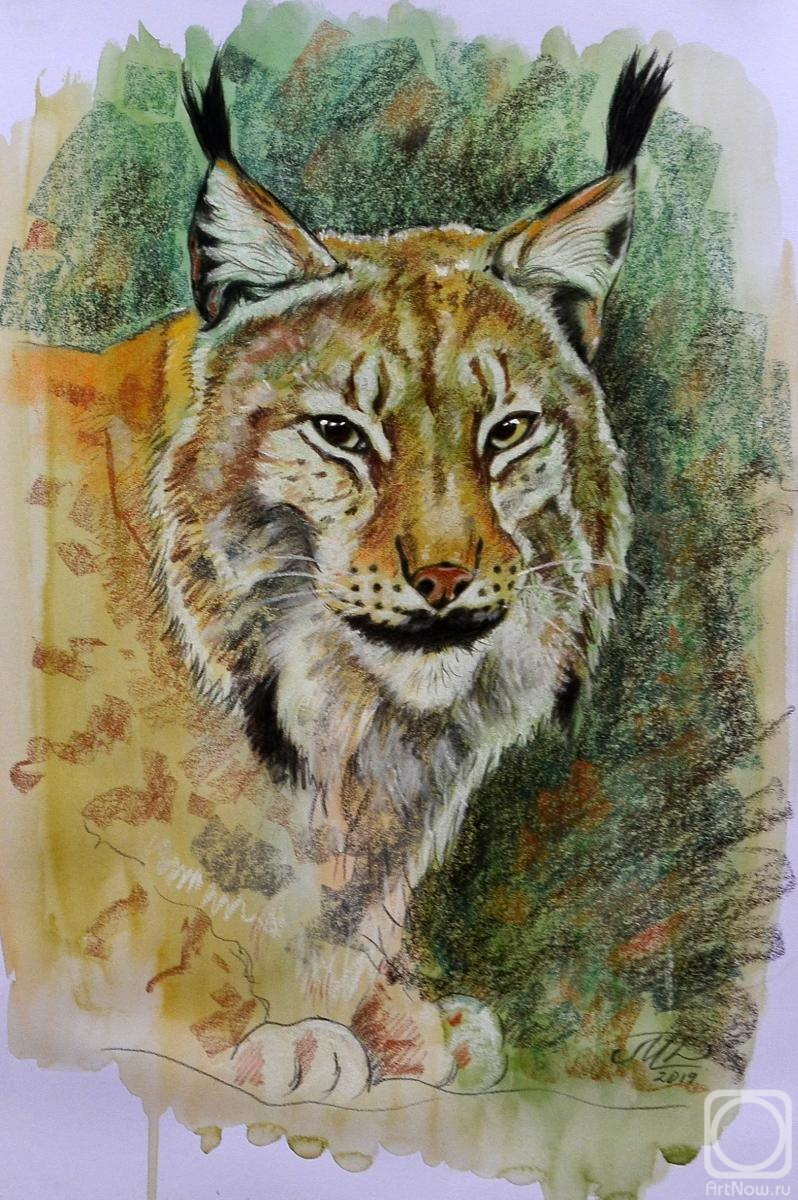 �������. �������� �����. ����