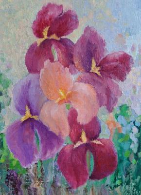 �����. ��������� ����� (����� ������� ���������). ������� ��������