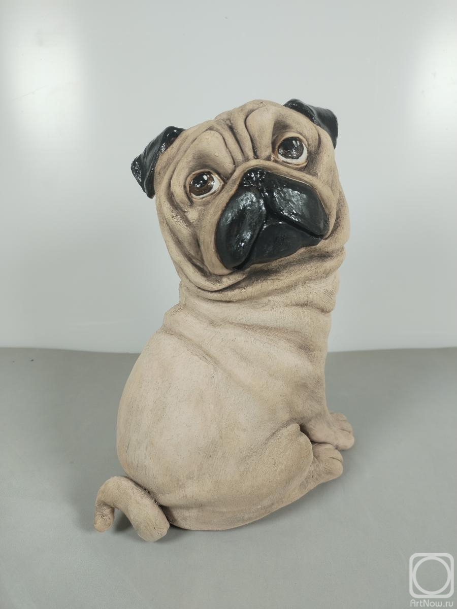 ������ �������. ����