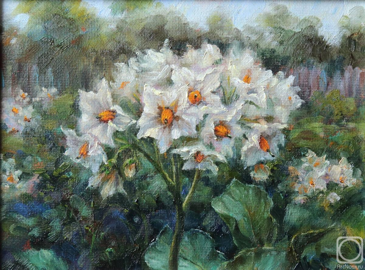 ������� ������ �� ������. ��������� �������. ��������