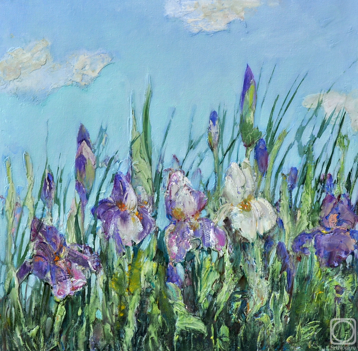 ������� ������ �� ������. ��������� �������. �����