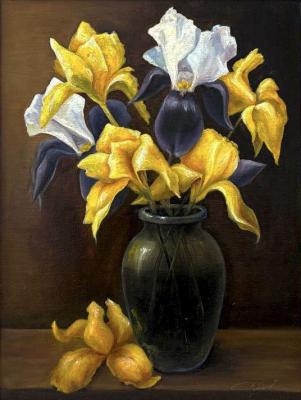 ������� ������ ������