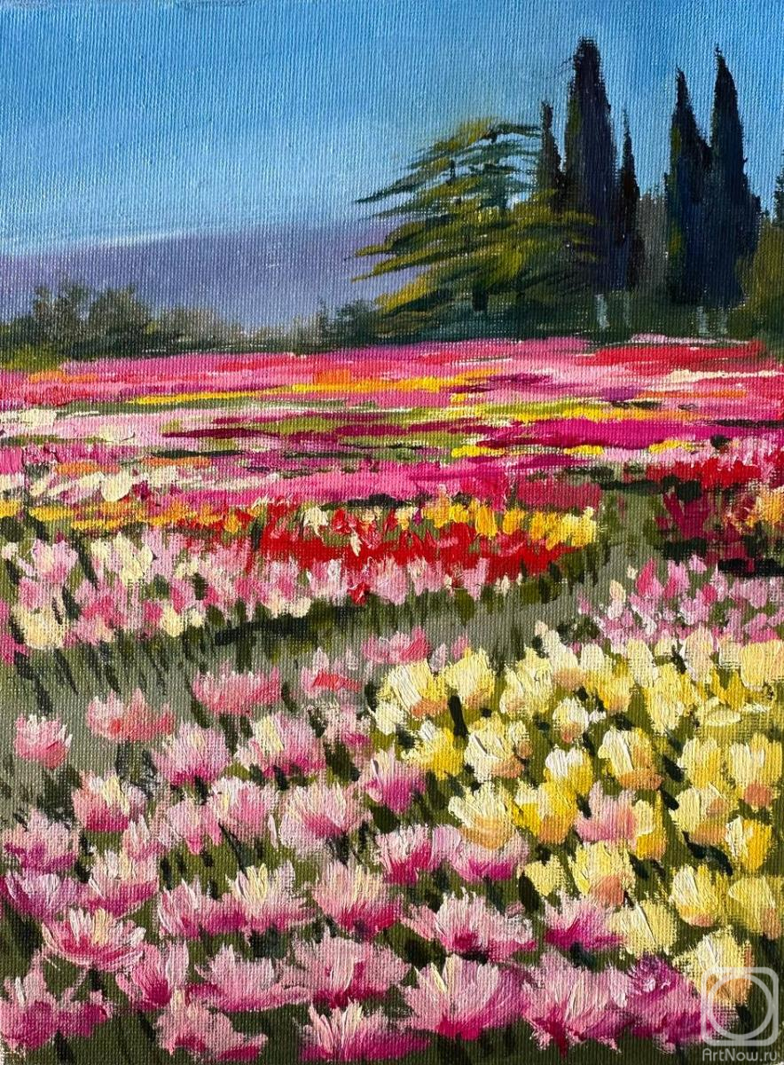 �������. �������� �����. ����� ��������� � ��������� ������������ ����