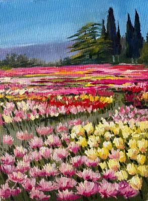 ������� ������ ��������� � ��������� ������������ ����