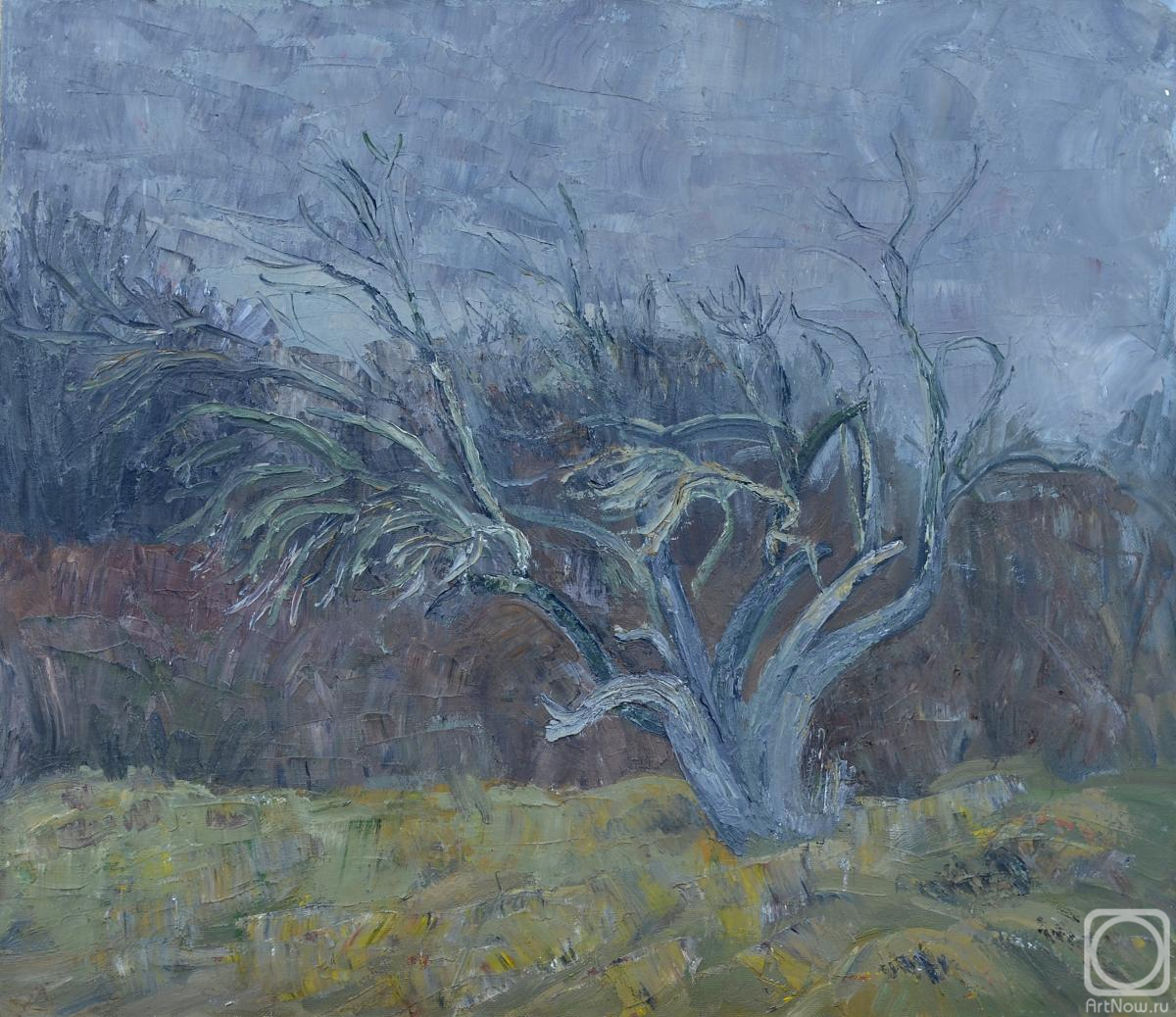 Manakyan Aleksandr. It started raining