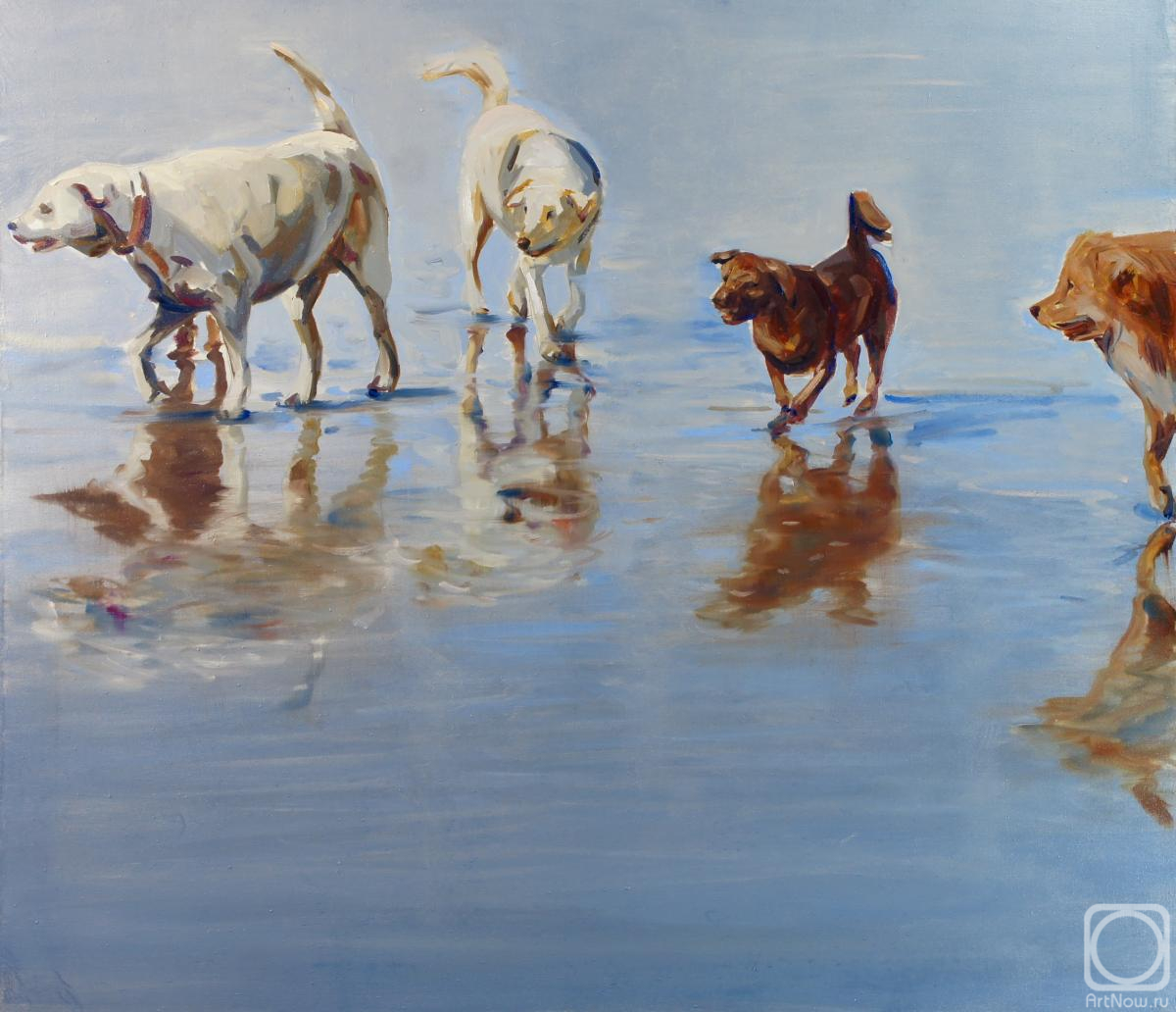 �������. �������� �����. ��������