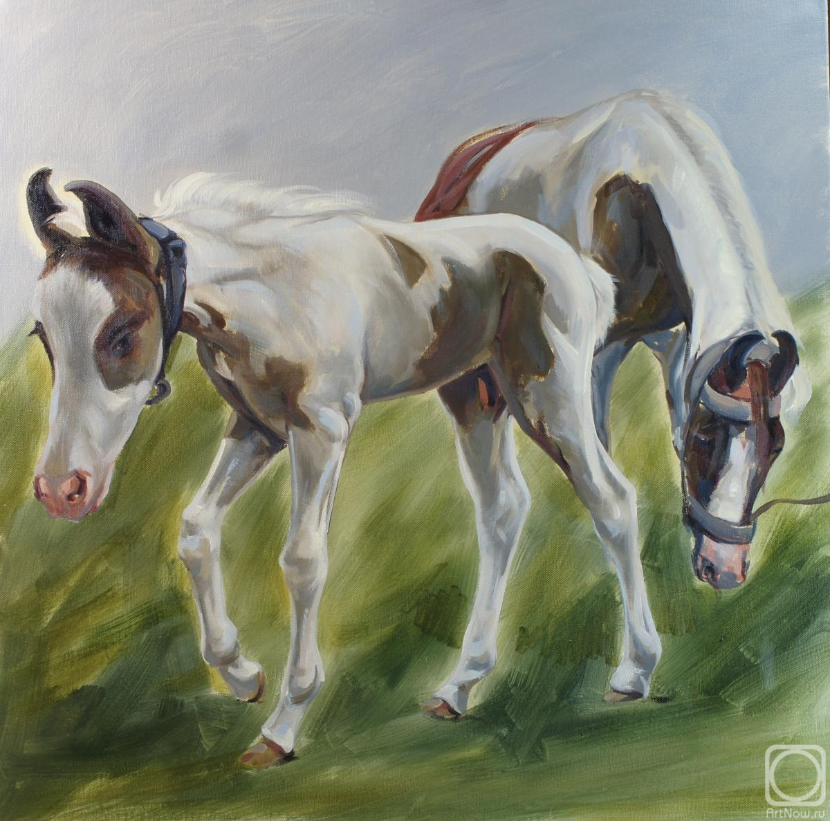 ������� ������ �� ������. �������� �����. ���� � �����