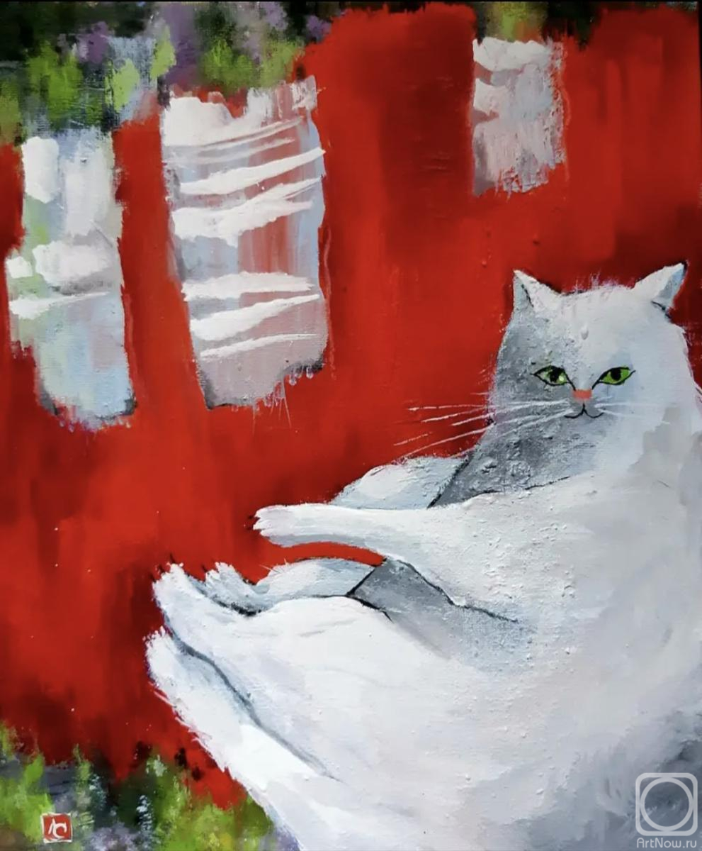 ������� ������ �� ������. �������� �������. ������