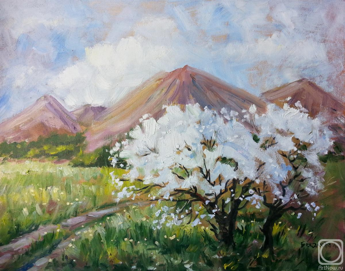 ������� ������ �� ������. �������� �������. ����� �� ��������