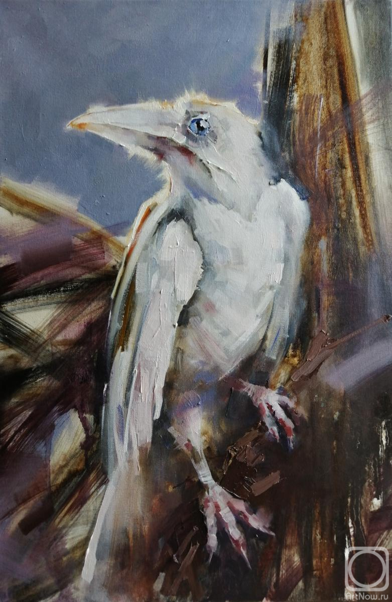 ������� ������ �� ������. ������ �����. ����� ������