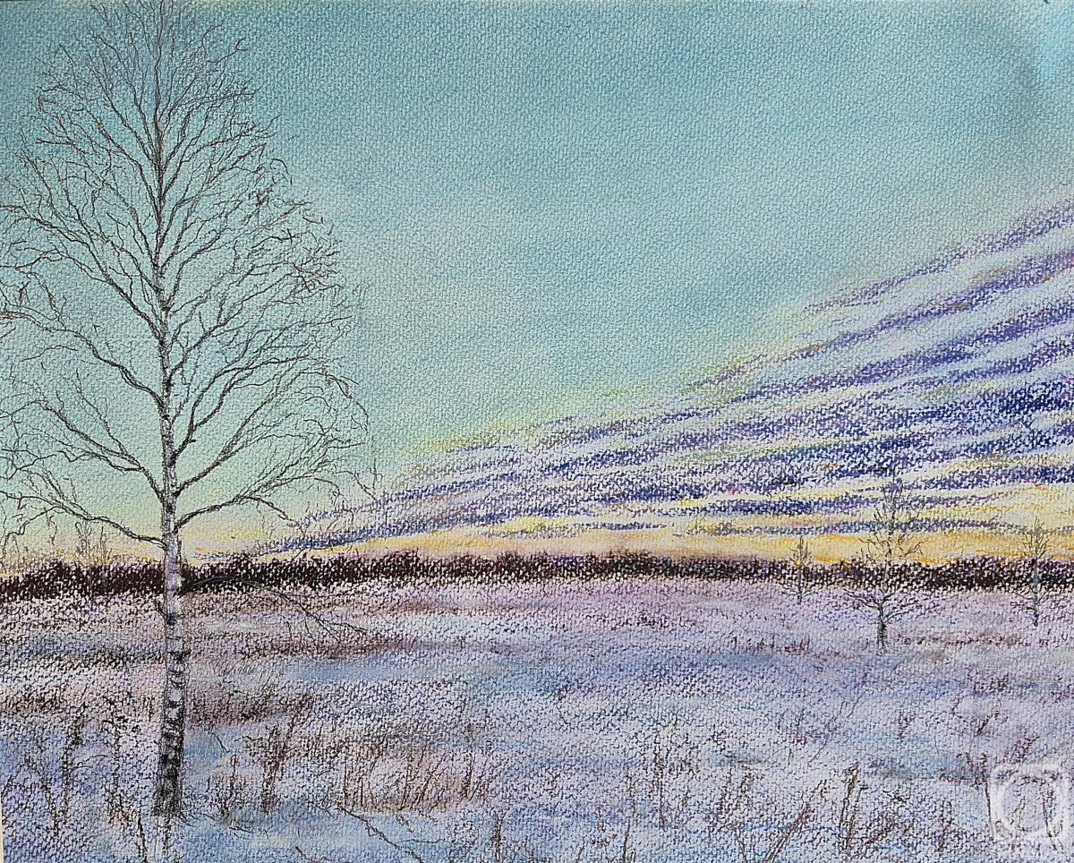 �������. ���������� ���������. ����. ��������