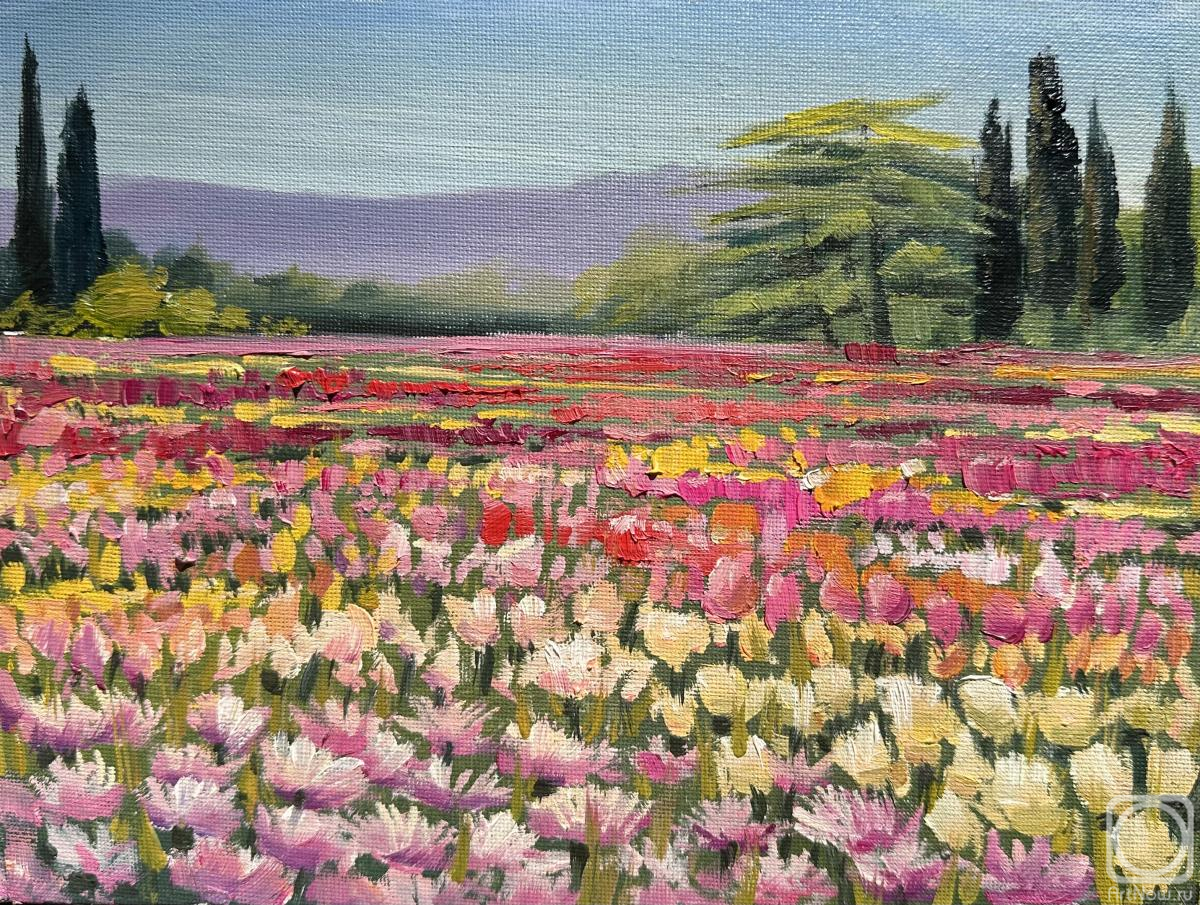 �������. �������� �����. ����� ��������� � ��������� ������������ ����