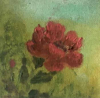 ������� ����