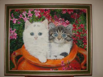 Котики