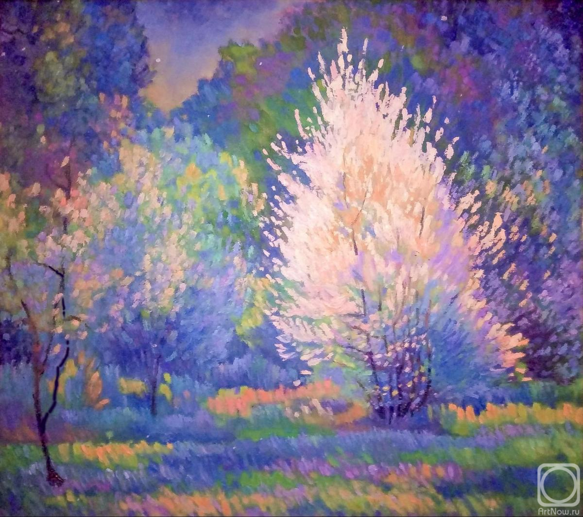 ������� ������ �� ������. �������� ��������. �����