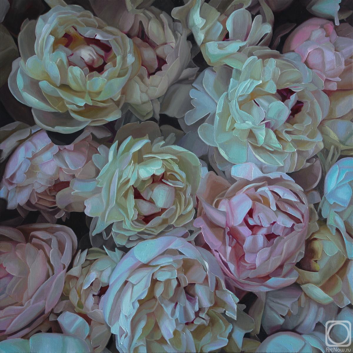 ������� ������ �� ������. ���������� ���������. ������������ �����