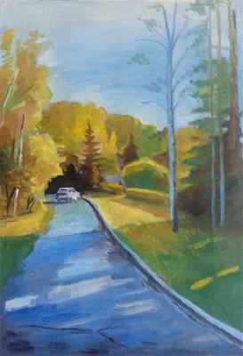 Cottages. Bashkatov Maksim