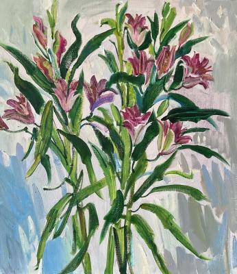 Day-lily