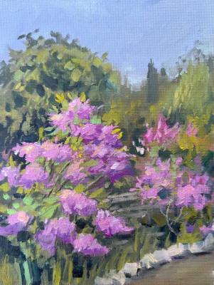 ������� ������� �������