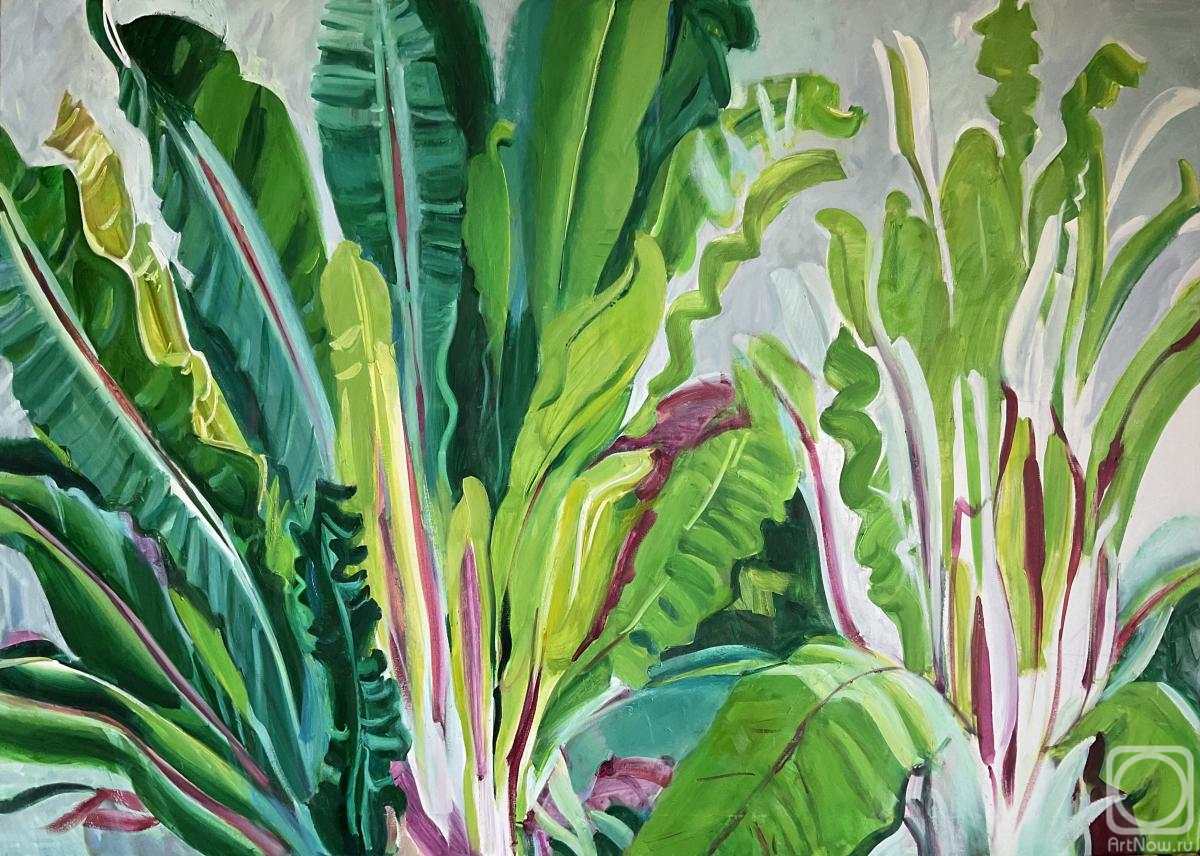 ������� ������ �� ������. �������� ���������. ���������