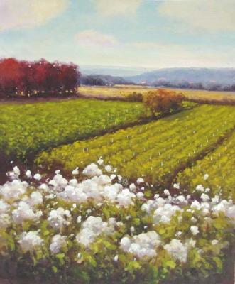 ���� ������. ���������� ������