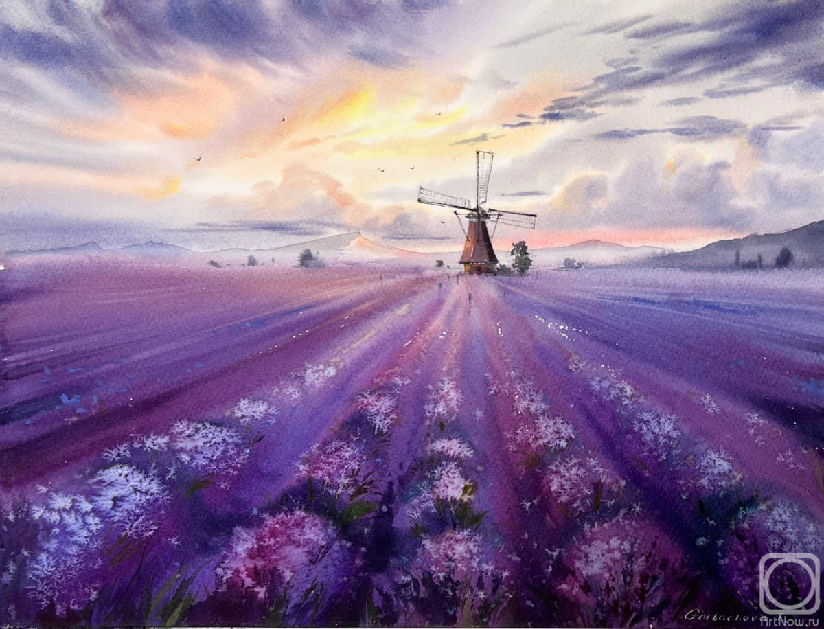 �������. ��������� �������. ���������� ���