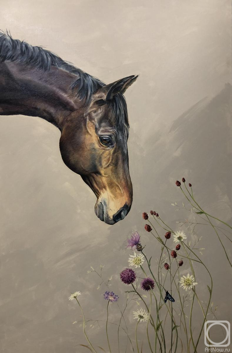 ������� ������ �� ������. ���������� ������. � ������ ������