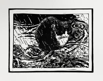 �����-�� ��� ������� �� �����, ��������� � �����, � �� �����-��������. ������ ���������