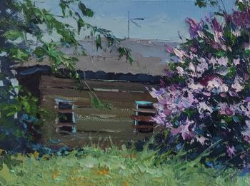 ���� ����. ���������� �������