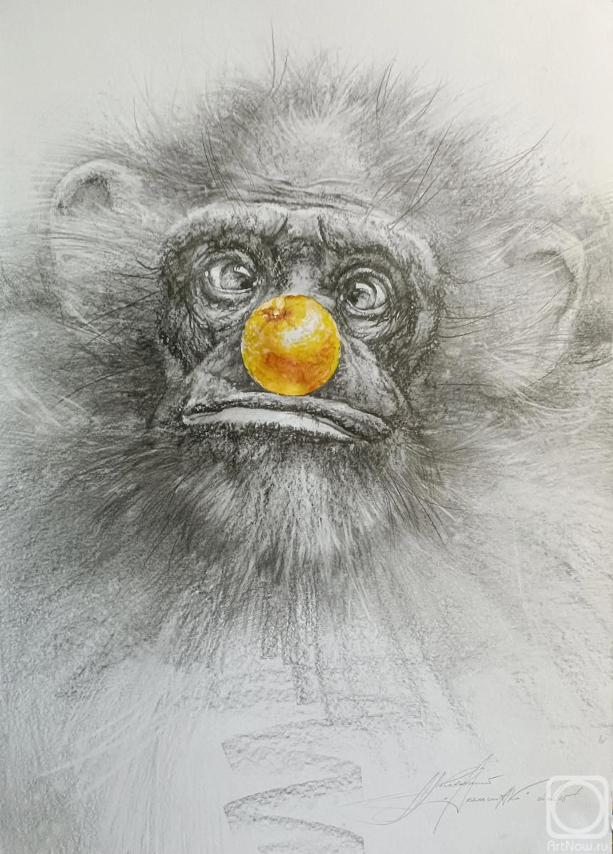 �������. ����������� ���������. ����������