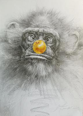 ����������