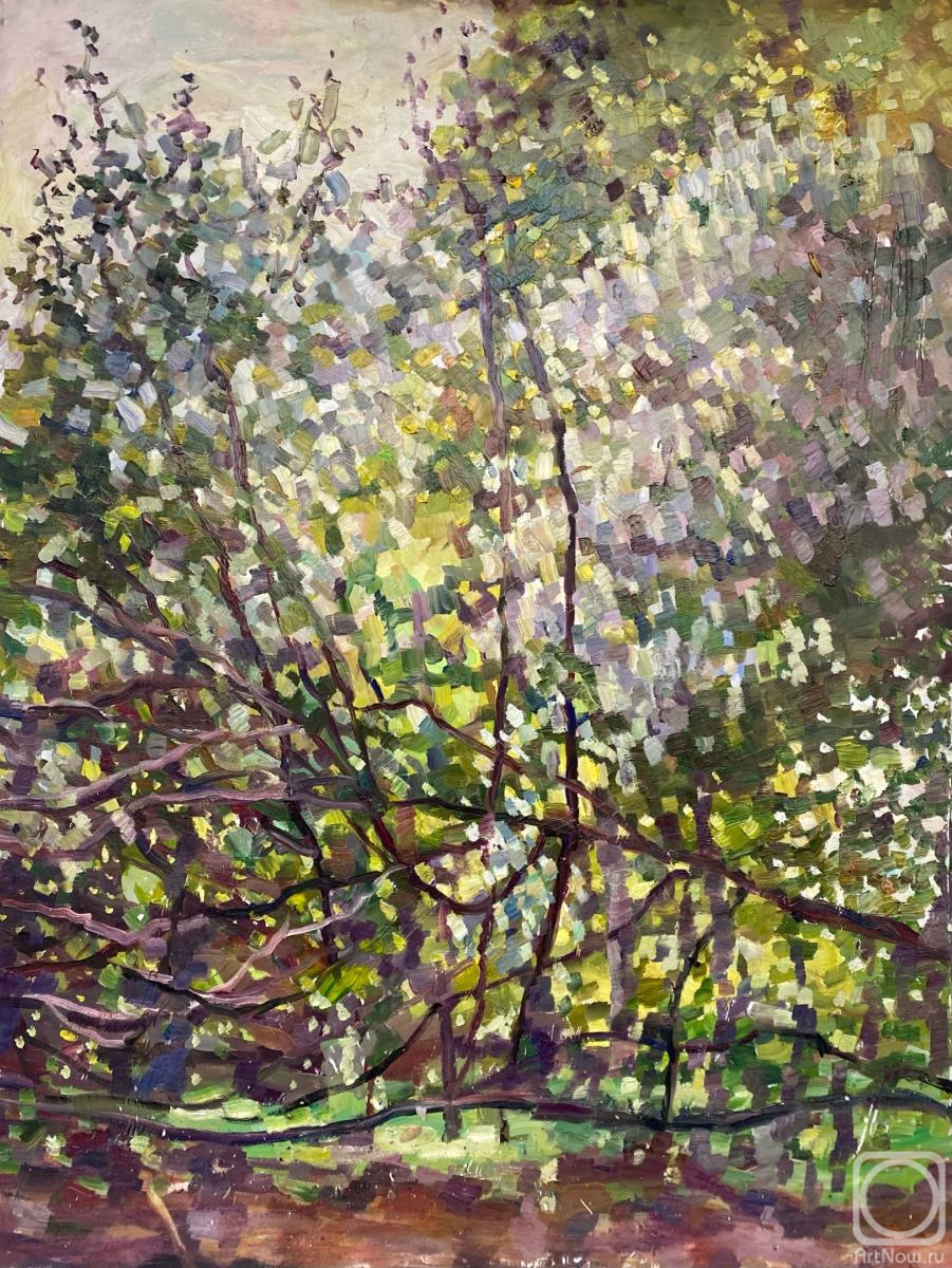 �������. ������ ��������. �������� �����