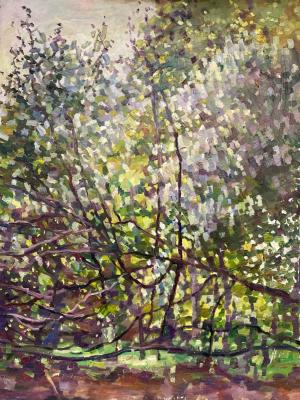 �������� �����. ������ ��������