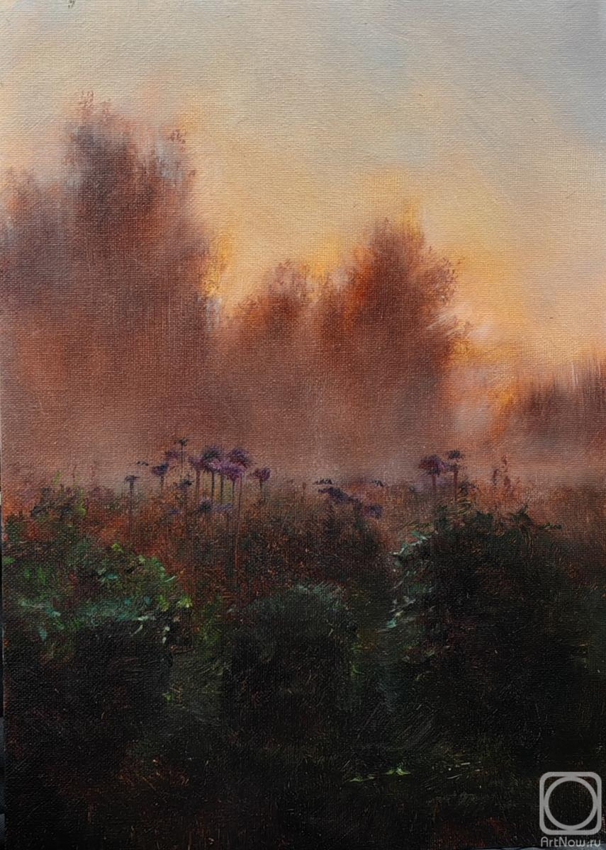 ������� ������ �� ������. ������� ����. �������� �����