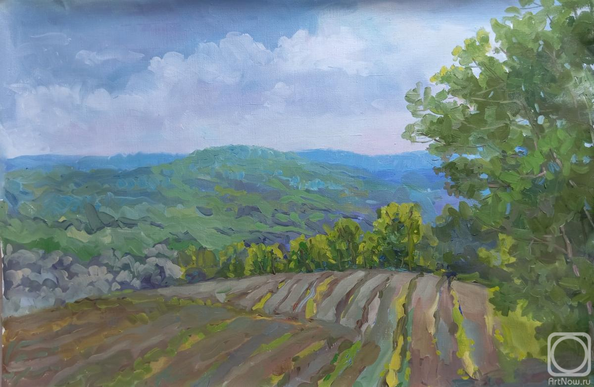 ������� ������ �� ������. ��������� ����. ����������� ��������