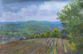 ����������� �������� (����������� ����). ��������� ����