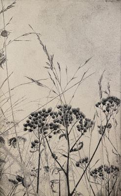 In the summer. Lavrentev Maksim