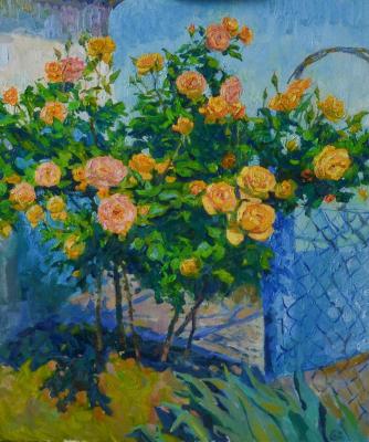 ������� ����� ���