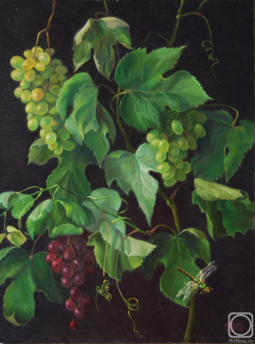 ������� ������ �� ������. ���������� �������. ��������